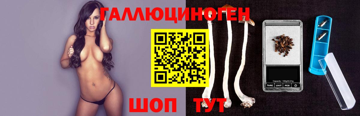 Псилоцибиновые грибы Psilocybine cubensis Ярцево